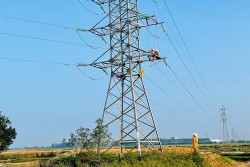 Kết quả hoạt động sản xuất của EVNNPC tháng 10 và nhiệm vụ 2 tháng cuối năm 2025