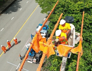 Hoạt động sản xuất, kinh doanh 10 tháng năm 2025 của EVNSPC