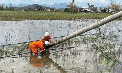 EVNGENCO3 hỗ trợ khẩn cấp tại miền Trung khắc phục thiệt hại do mưa bão