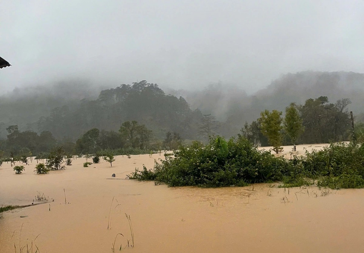 Lũ lịch sử Lạc Dương (tháng 11/2025) - Giải mã ‘điểm gãy’ sinh thái trên lưu vực Đa Nhim