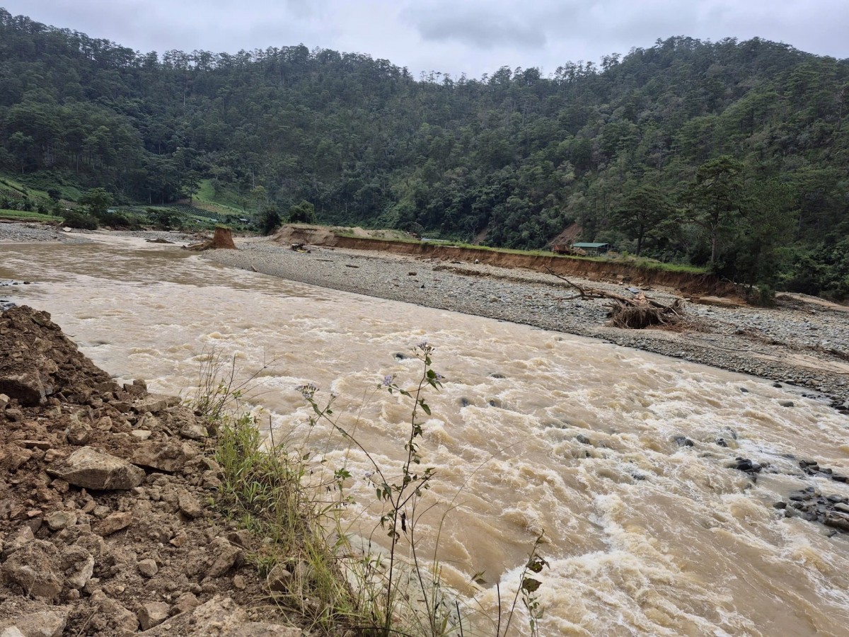 Lũ lịch sử Lạc Dương (tháng 11/2025) - Giải mã ‘điểm gãy’ sinh thái trên lưu vực Đa Nhim