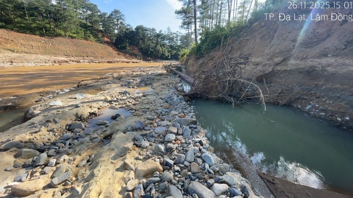 Lũ lịch sử Lạc Dương (tháng 11/2025) - Giải mã ‘điểm gãy’ sinh thái trên lưu vực Đa Nhim