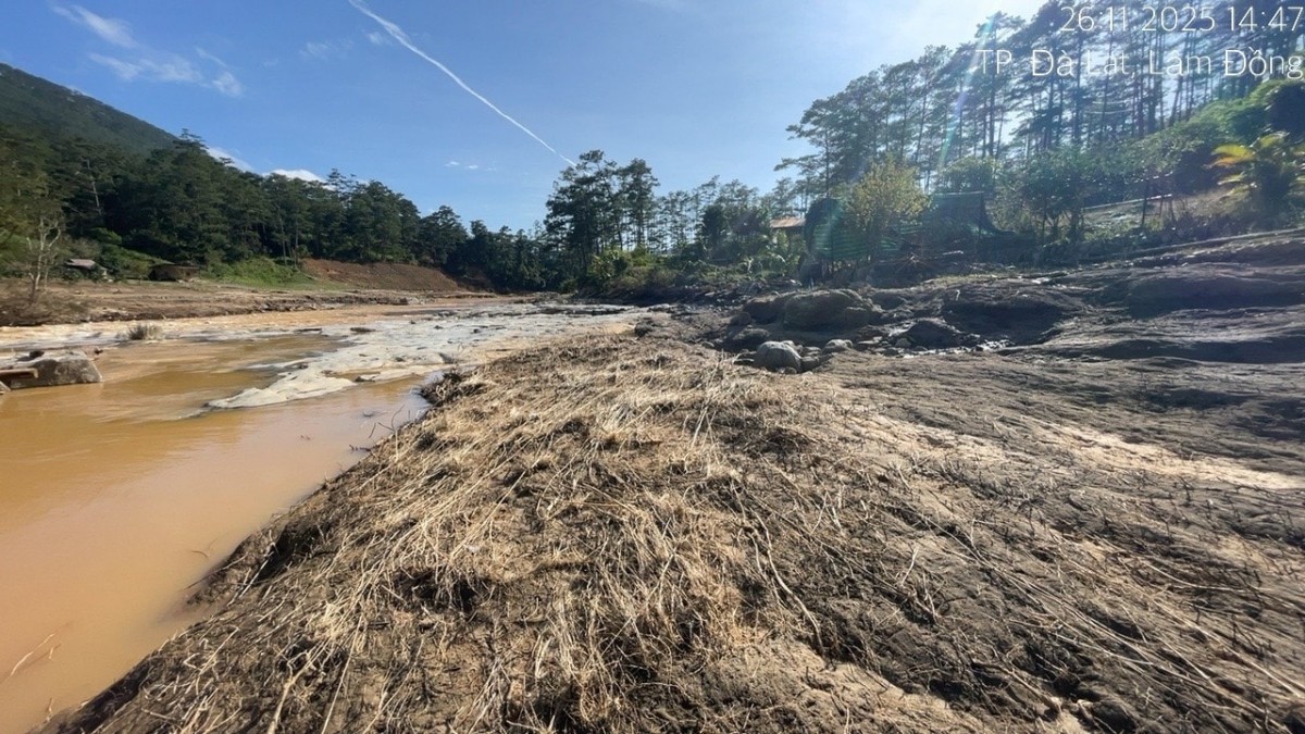 Lũ lịch sử Lạc Dương (tháng 11/2025) - Giải mã ‘điểm gãy’ sinh thái trên lưu vực Đa Nhim