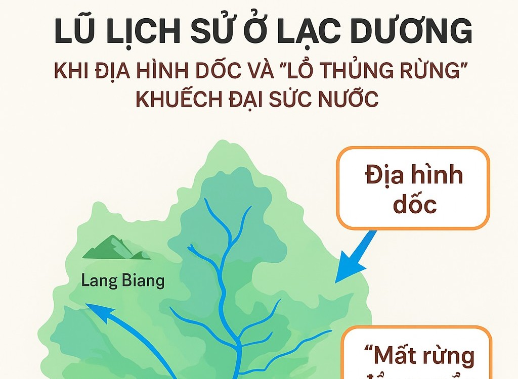 Lũ lịch sử Lạc Dương (tháng 11/2025) - Giải mã ‘điểm gãy’ sinh thái trên lưu vực Đa Nhim
