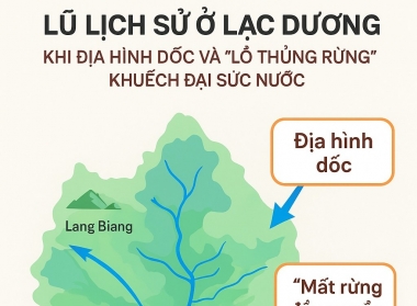 Lũ lịch sử Lạc Dương (tháng 11/2025) - Giải mã ‘điểm gãy’ sinh thái trên lưu vực Đa Nhim