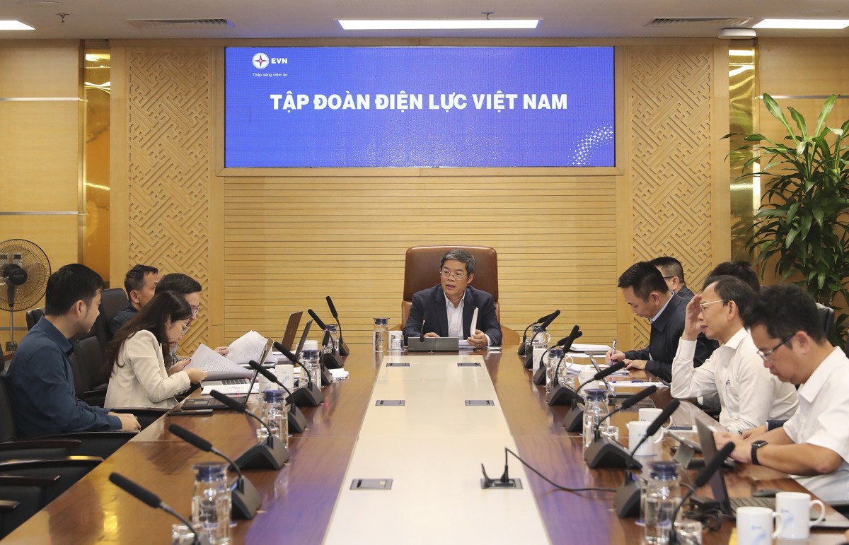 Nghiệm thu hoàn thành cấp chủ đầu tư dự án điện mặt trời Phước Thái 2