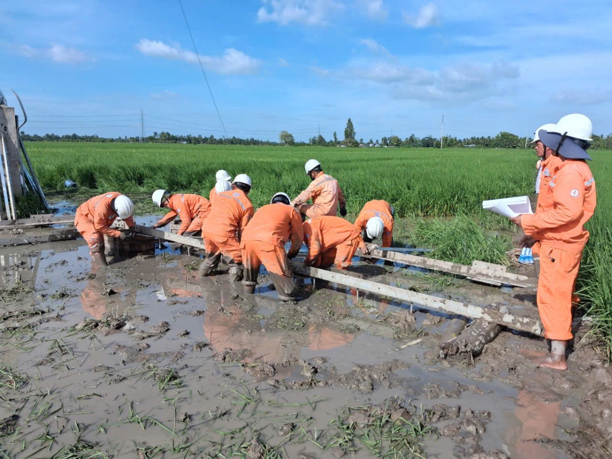 Đầu tư xây dựng lưới điện năm 2025 - EVNSPC về đích vượt chỉ tiêu