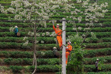 EVNNPC hoàn thành xuất sắc toàn diện các chỉ tiêu năm 2025