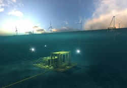 Đấu thầu chọn nhà đầu tư và yêu cầu tất yếu của khảo sát thực địa tiềm năng điện gió ngoài khơi Việt Nam