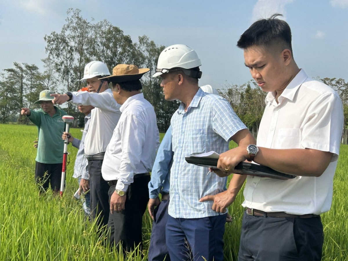 EVNSPC hoàn thành 8 công trình lưới điện 110 kV trong tháng 1/2026