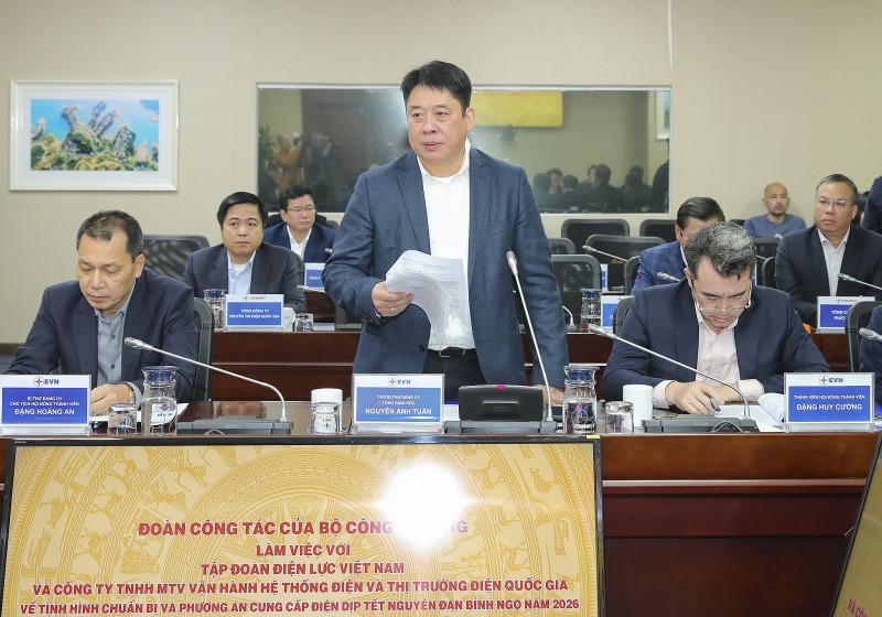 Quyền Bộ trưởng Công Thương Lê Mạnh Hùng làm việc với EVN và NSMO