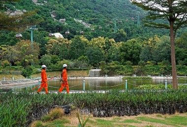 EVN sẵn sàng đảm bảo cung cấp điện dịp Tết Nguyên đán Bính Ngọ 2026