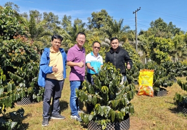 Phú Mỹ đồng hành phát triển nông nghiệp bền vững tại Lào