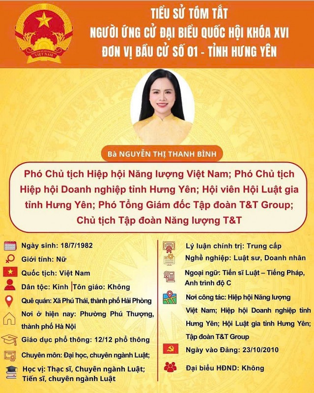 Ứng cử viên Đại biểu Quốc hội khóa XVI - bà Nguyễn Thị Thanh Bình - Phó Chủ tịch Hiệp hội Năng lượng Việt Nam
