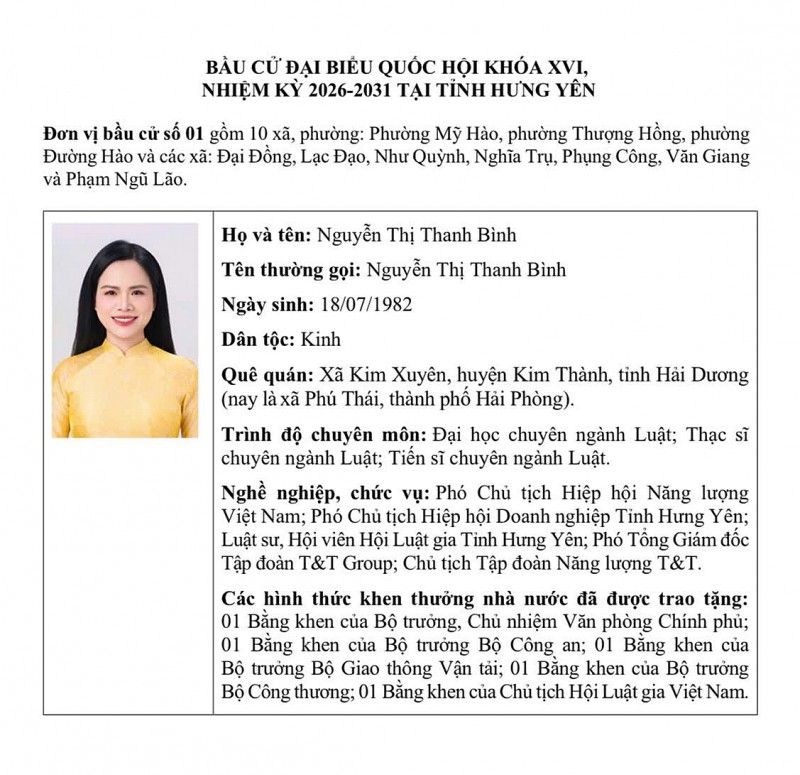 Ứng cử viên Đại biểu Quốc hội khóa XVI - bà Nguyễn Thị Thanh Bình - Phó Chủ tịch Hiệp hội Năng lượng Việt Nam