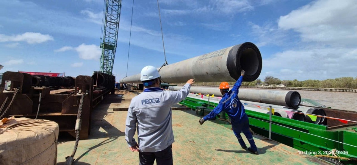 Thi công đóng cọc các trụ tua bin dự án điện gió Tân Thuận (giai đoạn 3)