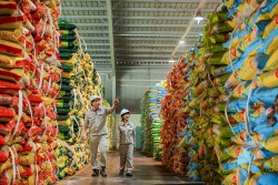 Nhà máy Đạm Phú Mỹ đảm bảo nguồn cung, sẵn sàng tận dụng cơ hội xuất khẩu