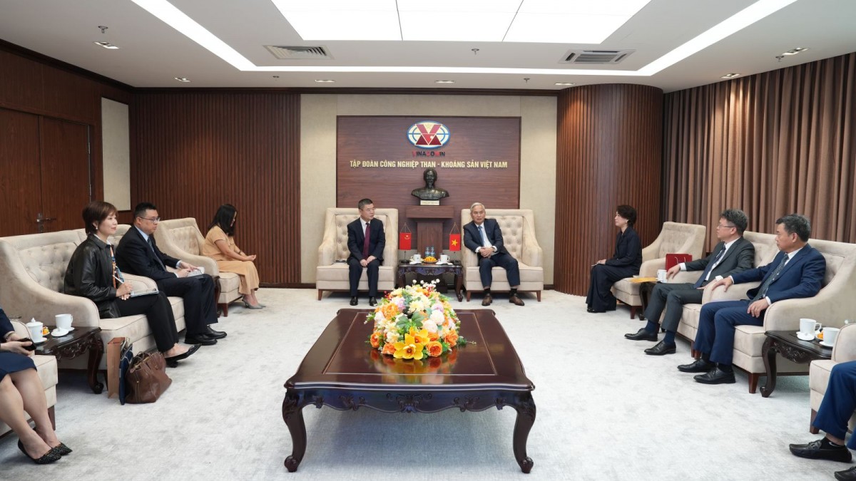 TKV và NFC (Trung Quốc) trao đổi cơ hội hợp tác trong lĩnh vực khoáng sản, luyện kim