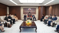 TKV và NFC (Trung Quốc) trao đổi cơ hội hợp tác trong lĩnh vực khoáng sản, luyện kim