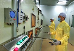 Phân tích nhu cầu nhân lực đánh giá an toàn nhà máy điện hạt nhân Việt Nam [Phần 1]