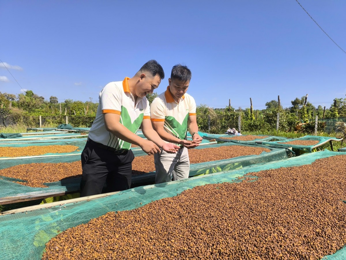 PVFCCo - Phú Mỹ: Niềm tin trọn vẹn với danh hiệu Hàng Việt Nam Chất lượng cao 2026