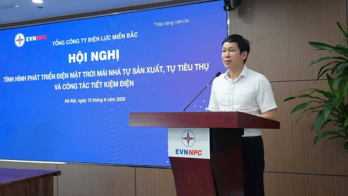 EVNNPC rà soát tình hình phát triển điện mặt trời mái nhà và tiết kiệm điện