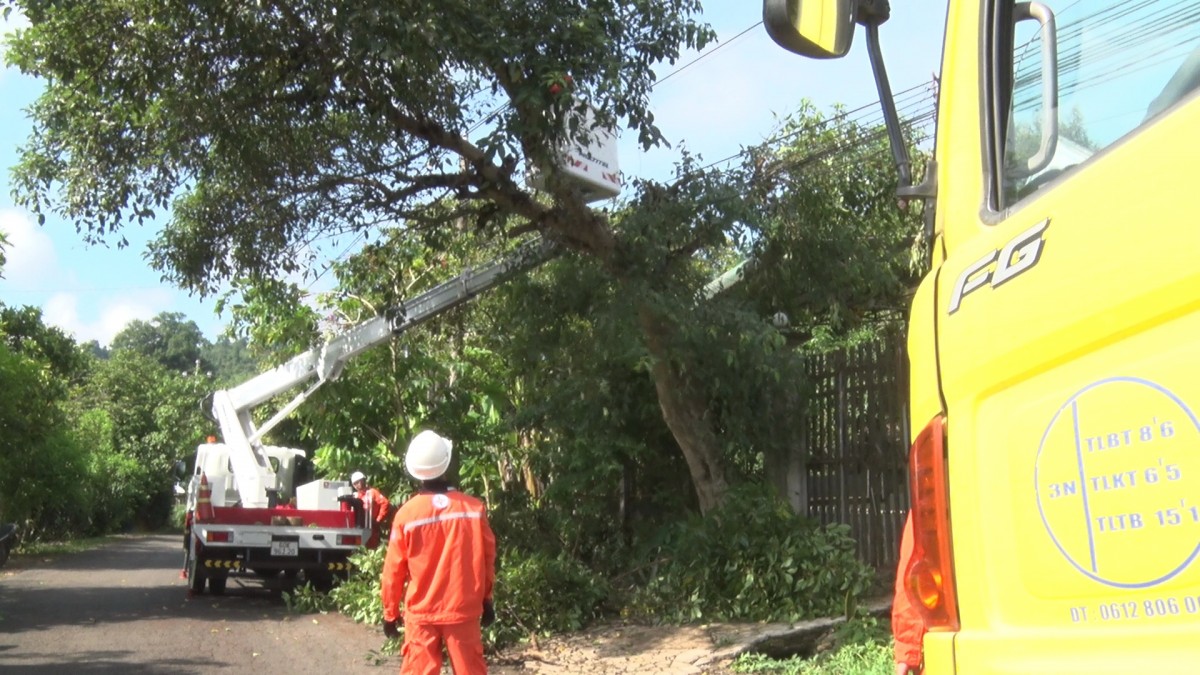 PC Đồng Nai chủ động, sẵn sàng ứng phó mùa mưa bão 2026