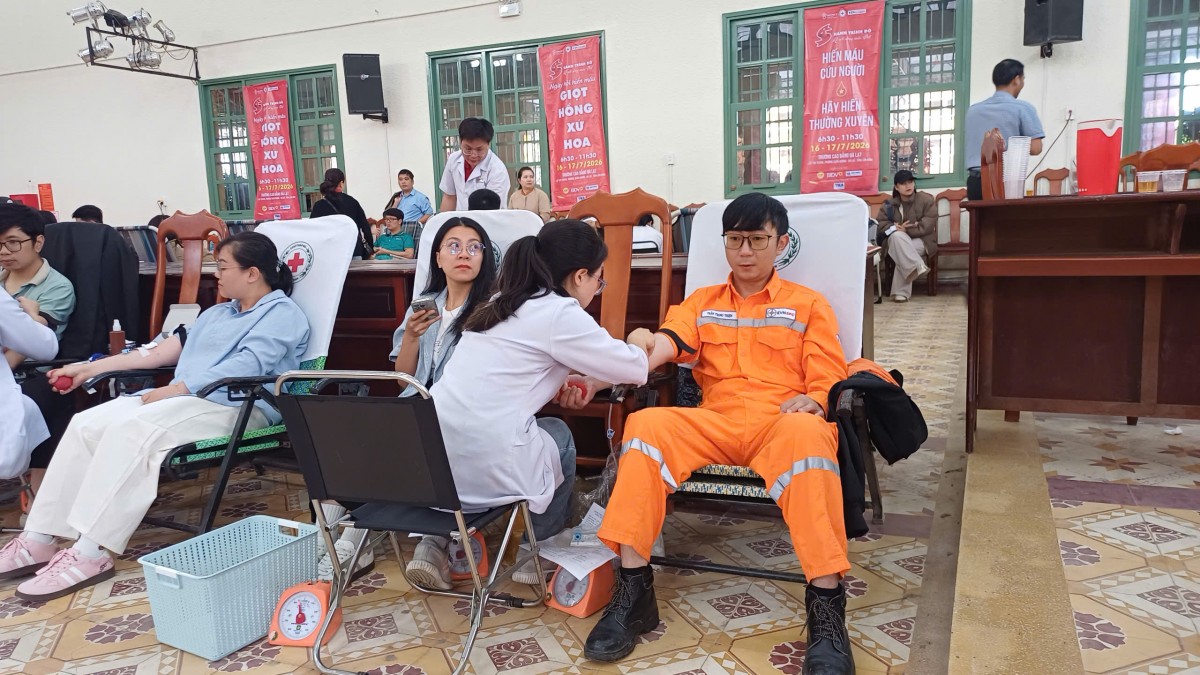 Mười năm người thợ điện Công ty Điện lực Lâm Đồng viết tiếp hành trình của sự sống Mười năm người thợ điện Công ty Điện lực Lâm Đồng viết tiếp hành trình của sự sống