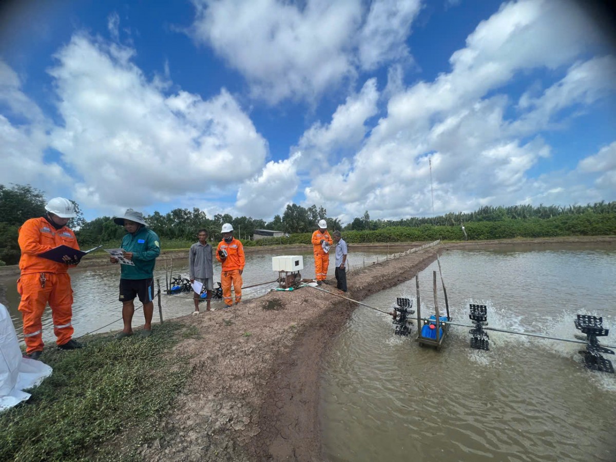 Tai nạn điện trong dân - Hậu quả khôn lường từ những sự chủ quan