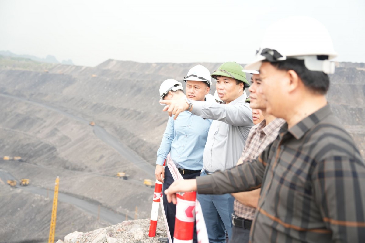 Lãnh đạo TKV kiểm tra sản xuất than lộ thiên và làm việc với Công ty CP Than Hà Tu Lãnh đạo TKV kiểm tra sản xuất than lộ thiên và làm việc với Công ty CP Than Hà Tu