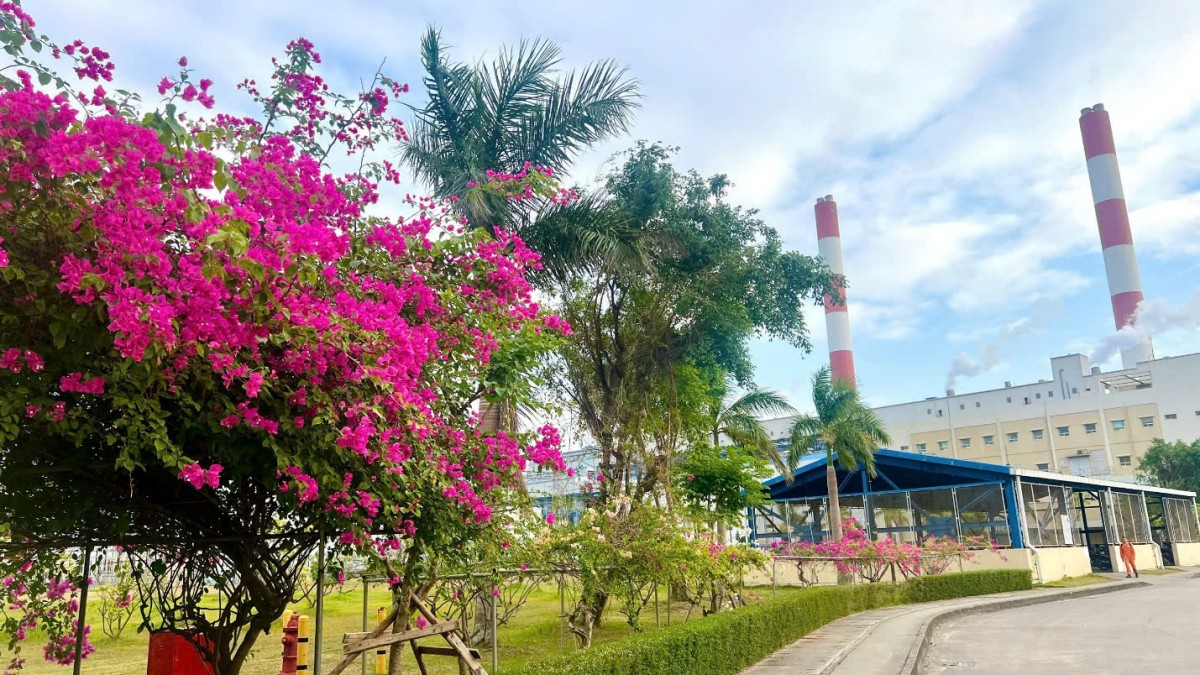 Công ty Nhiệt điện Mông Dương vận hành an toàn, ổn định gắn với bảo vệ môi trường Công ty Nhiệt điện Mông Dương vận hành an toàn, ổn định gắn với bảo vệ môi trường