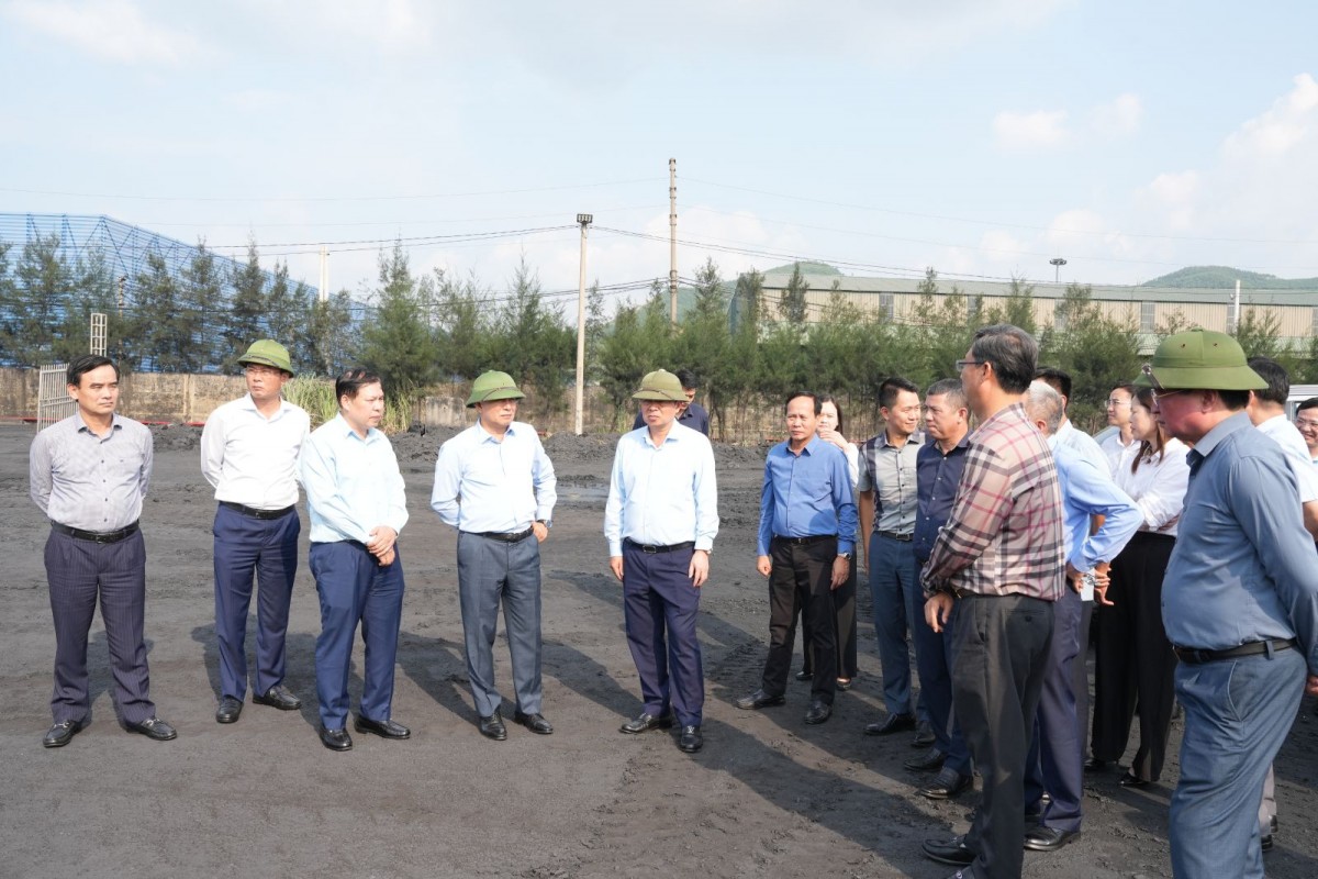 Tình hình sản xuất, kinh doanh và công tác sáp nhập của Công ty Chế biến than Quảng Ninh và than Hòn Gai