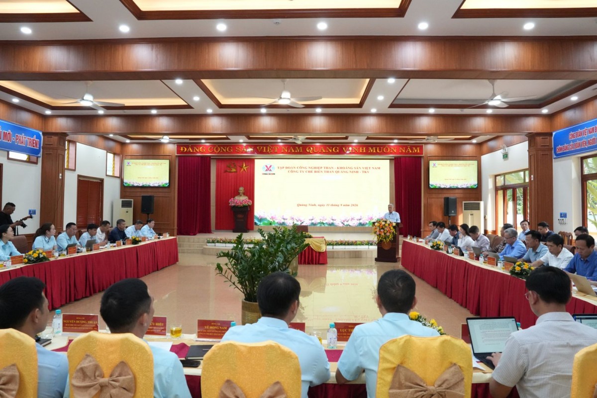 Tình hình sản xuất, kinh doanh và công tác sáp nhập của Công ty Chế biến than Quảng Ninh và than Hòn Gai