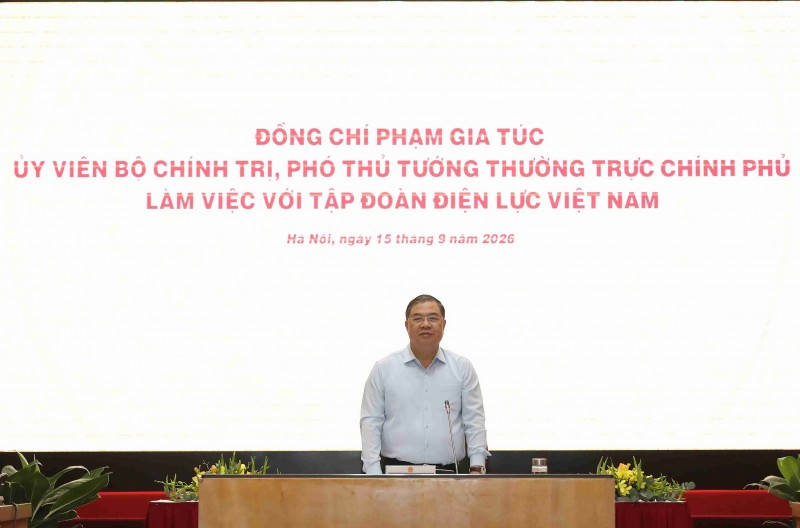 Phó Thủ tướng Chính phủ Phạm Gia Túc làm việc với Tập đoàn Điện lực Việt Nam