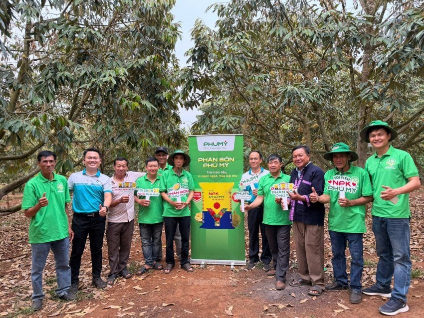 PVFCCo-Phú Mỹ: Khi những giá trị truyền thống hội tụ thành chuẩn mực phát triển bền vững PVFCCo-Phú Mỹ: Khi những giá trị truyền thống hội tụ thành chuẩn mực phát triển bền vững
