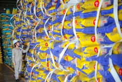 PVFCCo-Phú Mỹ: Khi những giá trị truyền thống hội tụ thành chuẩn mực phát triển bền vững