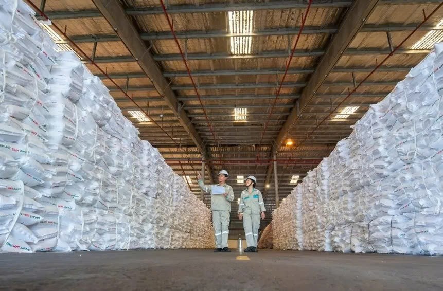 PVFCCo - Phú Mỹ lần thứ 7 liên tiếp đạt Thương hiệu quốc gia Việt Nam PVFCCo - Phú Mỹ lần thứ 7 liên tiếp đạt Thương hiệu quốc gia Việt Nam