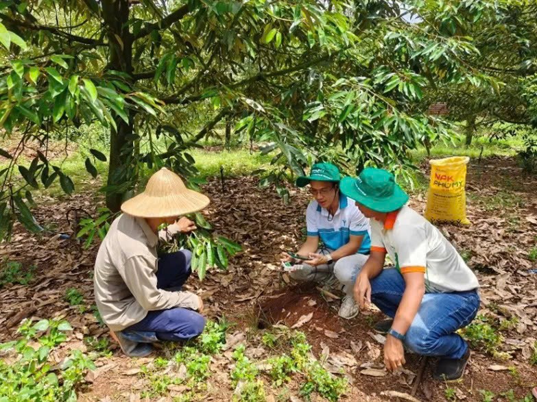PVFCCo - Phú Mỹ lần thứ 7 liên tiếp đạt Thương hiệu quốc gia Việt Nam PVFCCo - Phú Mỹ lần thứ 7 liên tiếp đạt Thương hiệu quốc gia Việt Nam