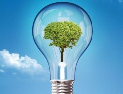 3 ý tưởng ứng dụng tăng trưởng xanh, phát triển bền vững