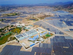 Trungnam Group - Nhà đầu tư tư nhân tiên phong về năng lượng tái tạo ở Việt Nam