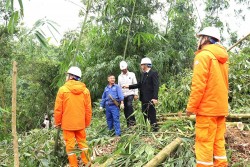 PC Yên Bái đảm bảo an toàn hành lang lưới điện cao áp