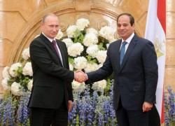 Nga giúp Ai Cập khảo sát xây nhà máy điện hạt nhân