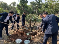 Quacontrol tổ chức khai xuân và phát động 'Tết trồng cây'