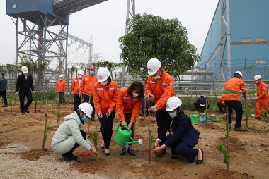 Nhiệt điện Nghi Sơn phát động Tết trồng cây xuân Nhâm Dần 2022