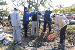 Nhiệt điện Mông Dương phát động Tết trồng cây Xuân Nhâm Dần 2022