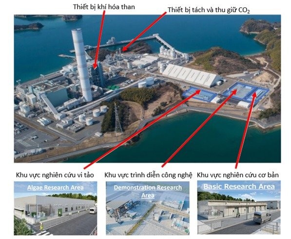 Kinh tế carbon tuần hoàn của Nhật Bản - Mô hình tham khảo tốt cho Việt Nam