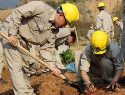 Thủy điện Sơn La tổ chức tết trồng cây đầu năm
