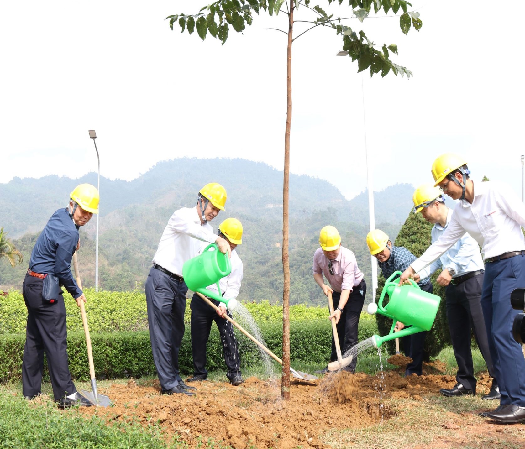 Tổng Giám đốc EVN trồng cây tại Thủy điện Tuyên Quang