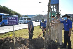 EVNGENCO1 tổ chức 'Tết trồng cây' tại Nhiệt điện Duyên Hải