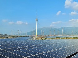 Cơ chế nào để năng lượng sạch giúp Việt Nam đạt trung hòa carbon vào 2050?